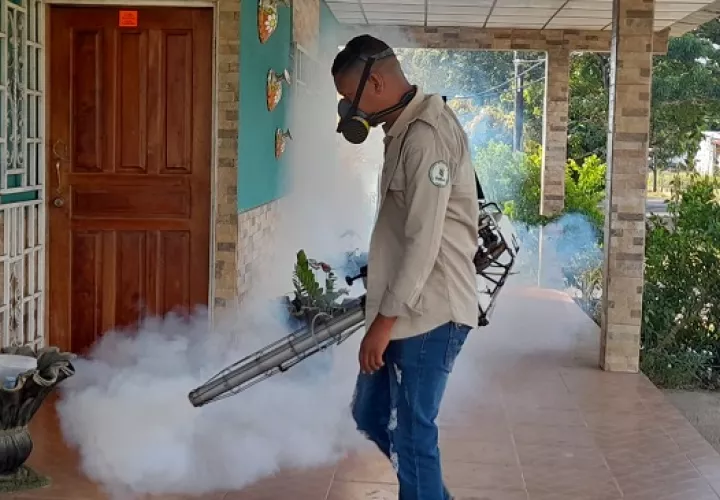 A pesar de las pocas lluvias los casos se incrementaron por la presencia de los cuatro serotipos de dengue. Foto: Cortesía Minsa