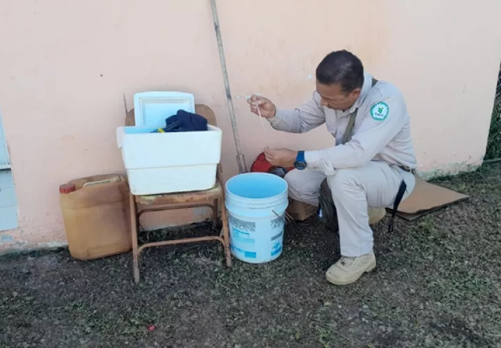 Las autoridades solicitaron a la población evitar la automedicación ante un contagio por dengue. Foto / Minsa. 