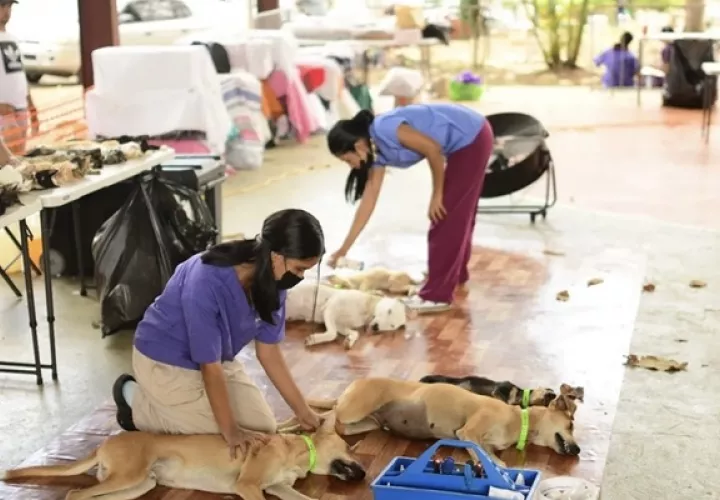 Se atenderá con cita previa. Foto / Spay Panamá. 