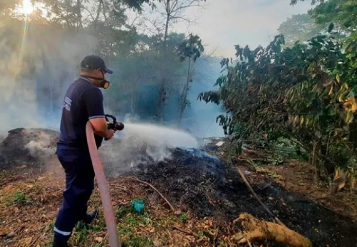 Los incendios de herbazales son la tercera emergencia más atendida por los bomberos. Foto: Cortesía/Bomberos 