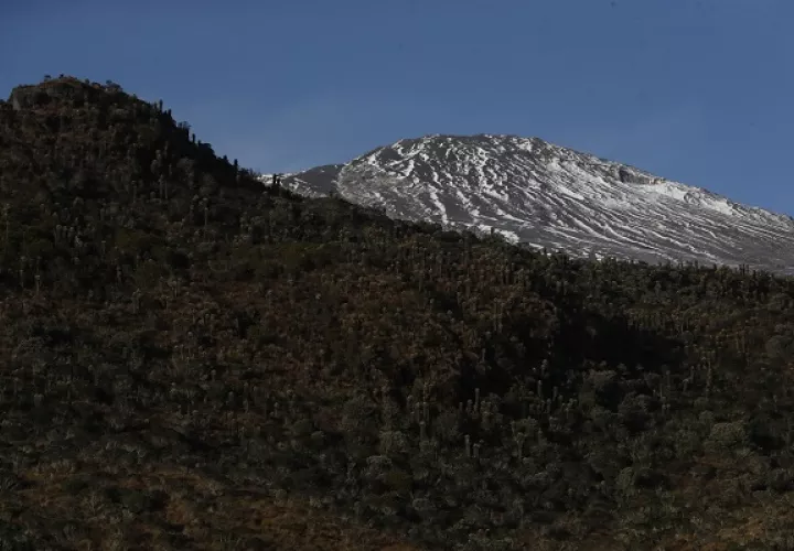 Vista de la cima del volcán Nevado del Ruiz. Foto: EFE
