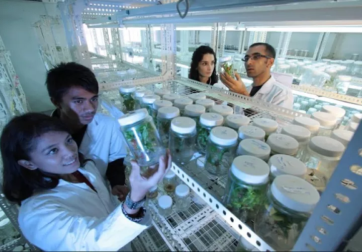 Múltiples instituciones colaboran en este proyecto. Foto:Pixabay/Senacyt