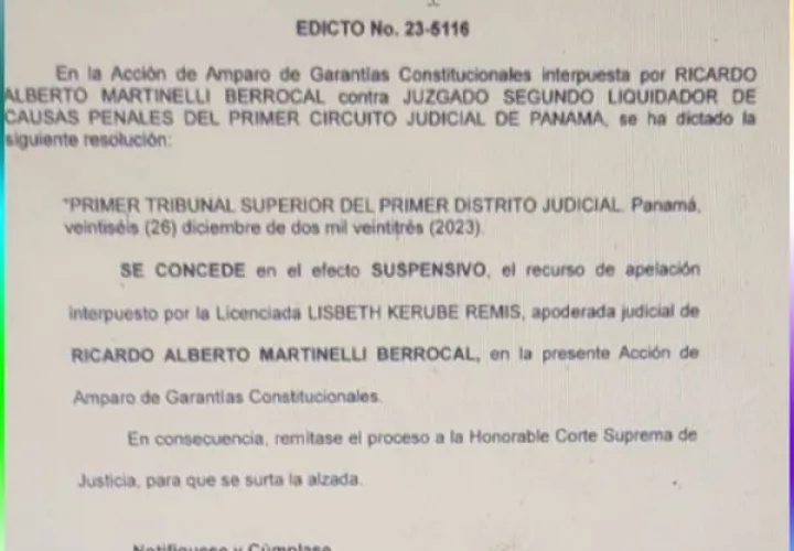 Edicto que concede la apelación a favor del Amparo presentado por Martinelli. 