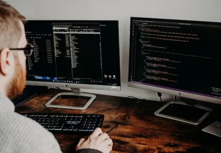 El talento  extranjero no debe verse como un peligro, recalca Ortega-Barría. Foto: Pexels 