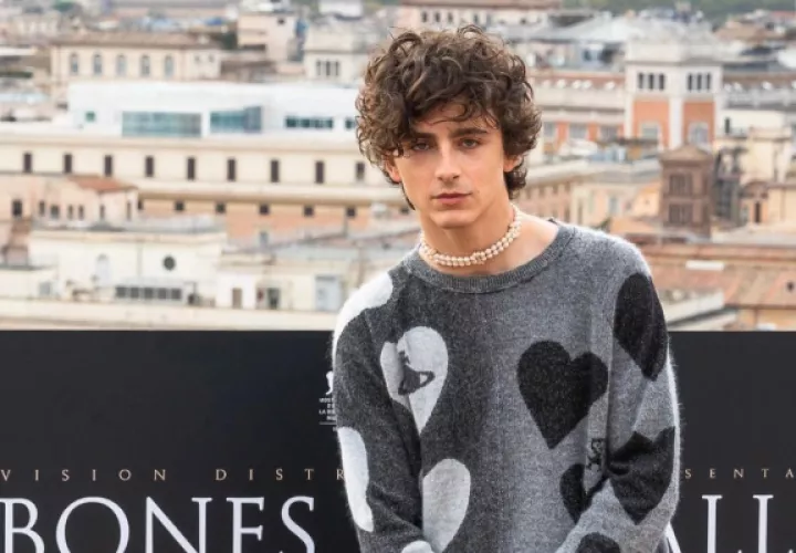Timothée Chalamet. Foto: Instagram