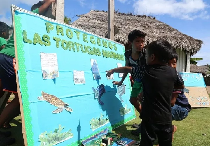  La comunidad de Armila en Guna Yala muestra a nivel mundial, su labor de conservación. Diomedes Sánchez 