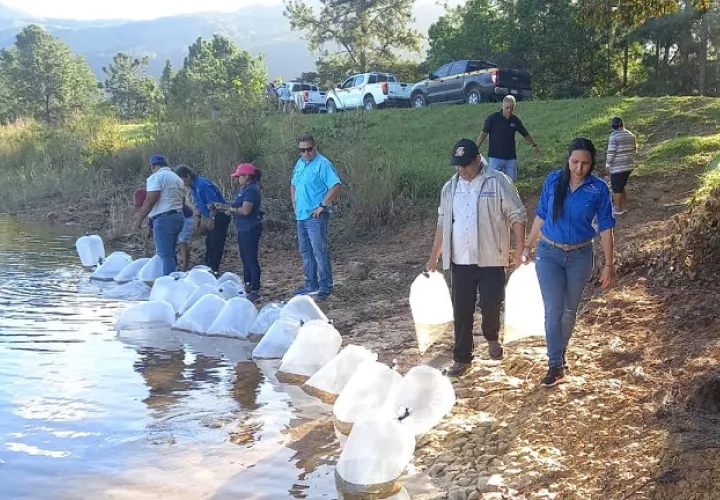 La actividad contó con el apoyo de MiAmbiente, Policía Nacional  y la Asociación de Pescadores de La Yeguada. Foto: Cortesía ARAP
