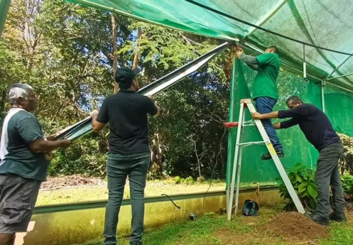 Los trabajos de mantenimiento se realizaron por parte de MiAmbiente de Panamá Oeste. Foto / MiAmbiente. 