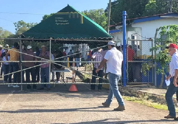 Los productores piden la realización de la reunión de cadena  agroalimentaria. Foto: Thays Domínguez 