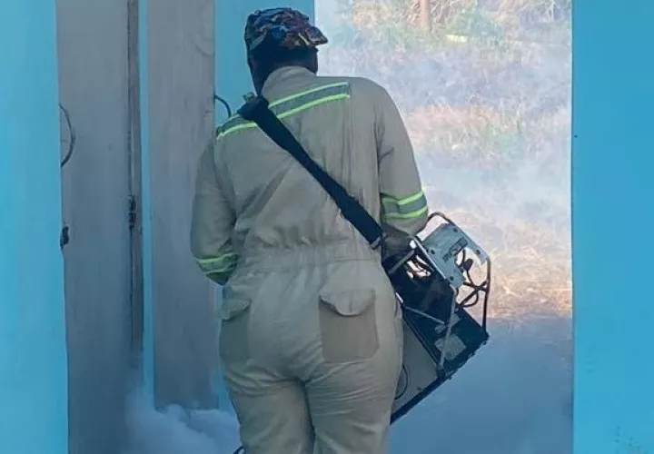 El Minsa ha reforzado los operativos de inspección y nebulización. Foto: Diomedes Sánchez, 