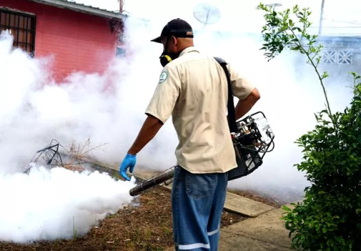 La fumigación solo se elimina al mosquito adulto. Foto: Archivo