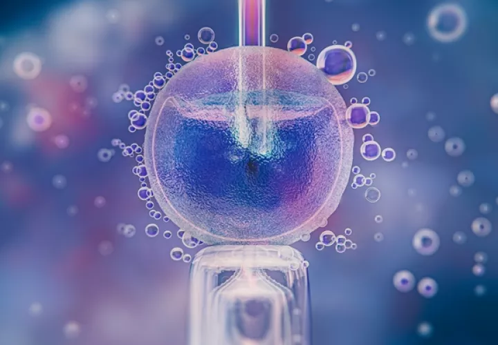 in_vitro_pa3jpg.jpg
