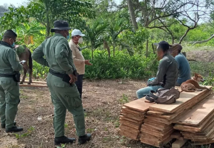 madera-panama_0.jpg