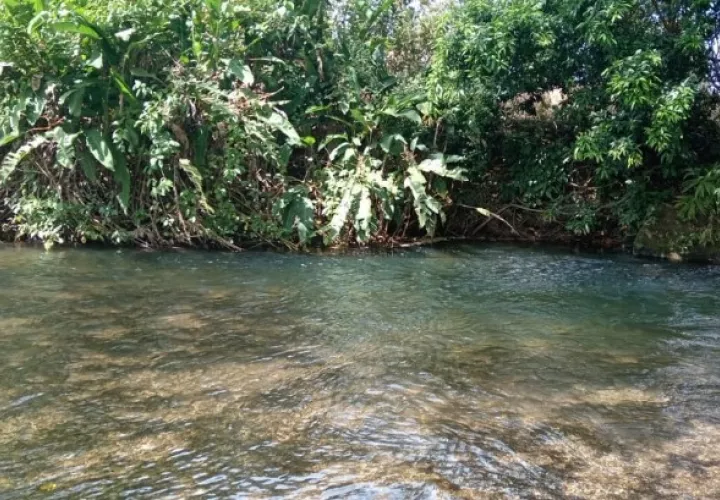 Carretera Nombre de Dios, Santa Isabel, Colón. Foto/MiAmbiente