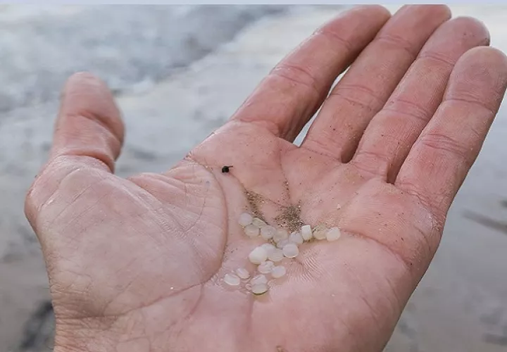 El torrente sanguíneo contiene partículas micro y nanoplásticas. Foto: EFE