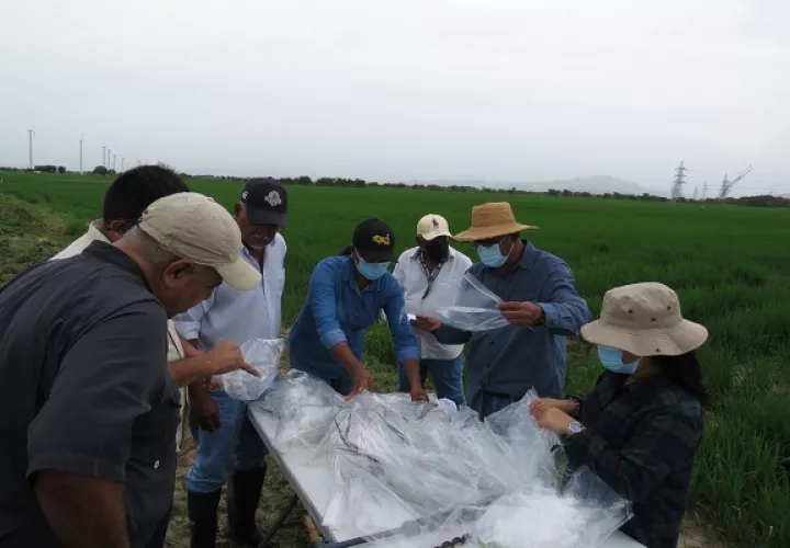 Profesionales del sector piden cumplimiento de la ley. Foto: Cortesía