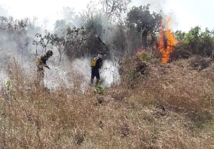 Carlos Barker, jefe del Cuerpo de Bomberos de Colón dijo que en la mayoría de los casos, estos incendios son provocados,  Foto. Archivo
