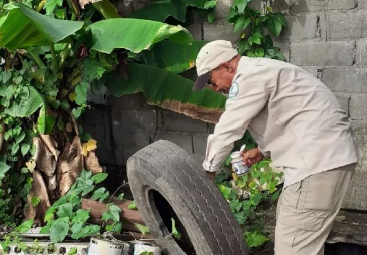 Para prevenir el dengue, la clave es eliminar los criaderos del mosquito. Foto: Cortesía Minsa