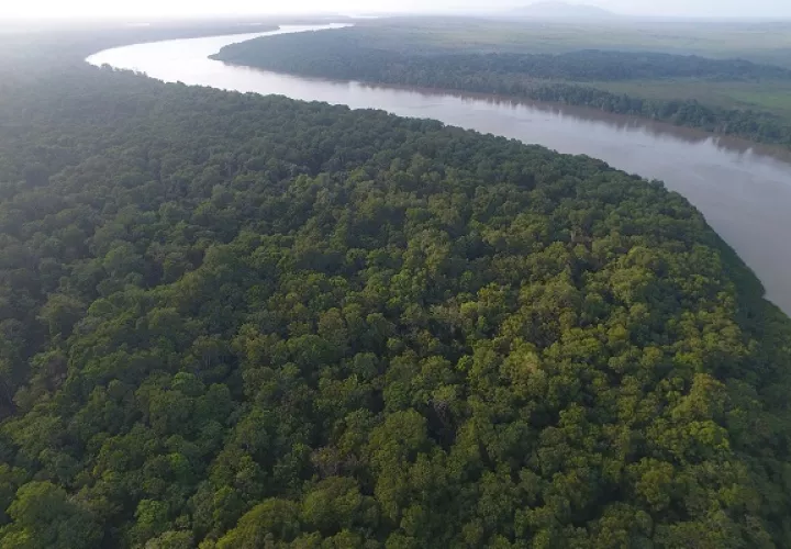 Los humedales de Matusagaratí están estrechamente relacionados con el bienestar de los habitantes de esta zona. Foto: Senacyt