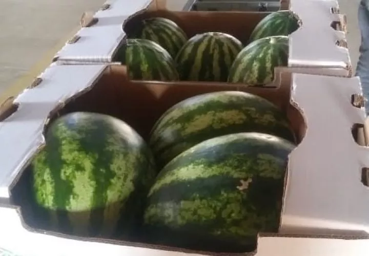 sandia10enero.jpg
