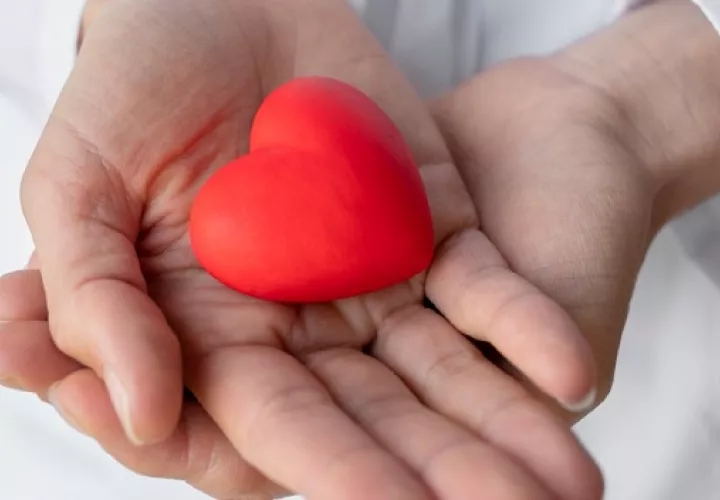 Para una vida cardiosaludable es importante descartar los alimentos con alto contenido de grasa trans. Foto: Freepik