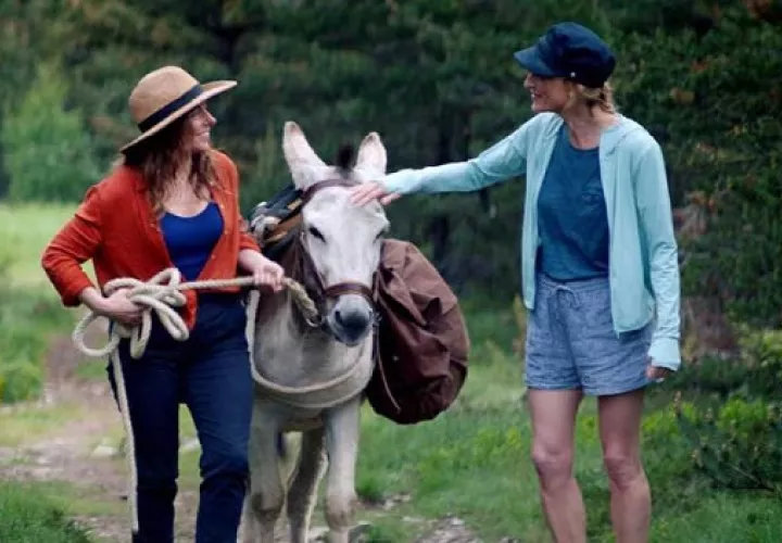 'Vacaciones contigo… y tu mujer'. Foto: https://cinefrances.net/