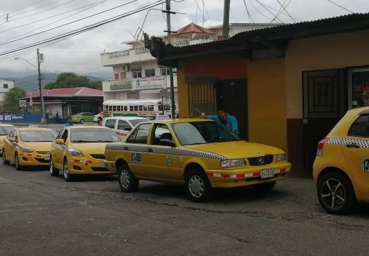 Ahora se  retomarán los trámites de renovación de placas ante los municipios.Foto: Eric Montenegro