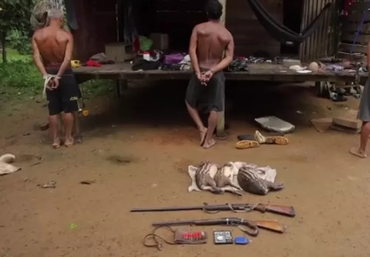 A estas personas se les encontraron armas de fuego, evidencia de oro y tres conejos de monte que habían sido cazados. Foto. Cortesía Senan. 