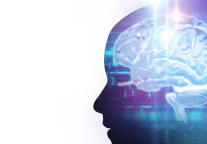 La encefalitis se presenta como una hinchazón del cerebro.  Pexels