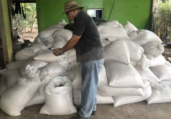 grano-poductor-los_santos.jpg