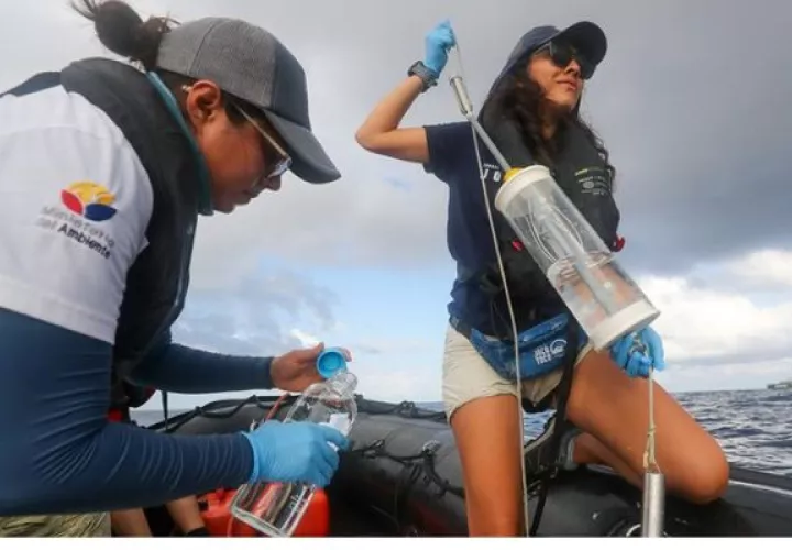 Las aguas circundantes de las Islas Galápagos "son un ejemplo de conservación. Foto: EFE
