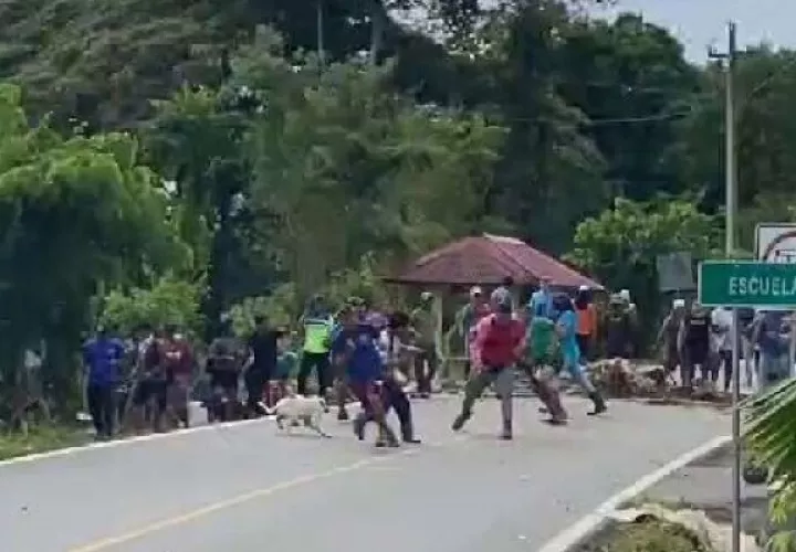 Unas siete personas han sido detenidas por invasión de tierras.
