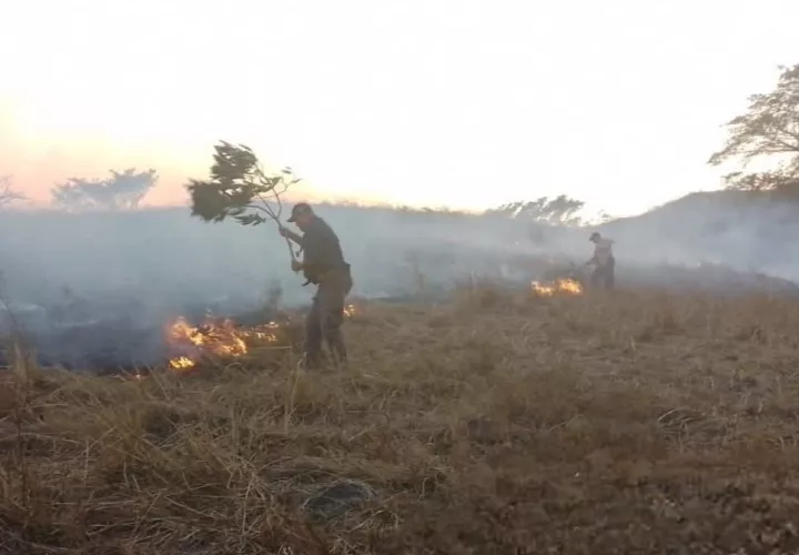Los incendios de masa vegetal han ido en aumento. Foto. Cortesía