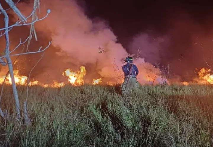 Los 13 miembros de este equipo solo disponen de bombas de mochila, rastrillo McLeod, hacha-azada y mata fuego, entre otros. Foto. Cortesía