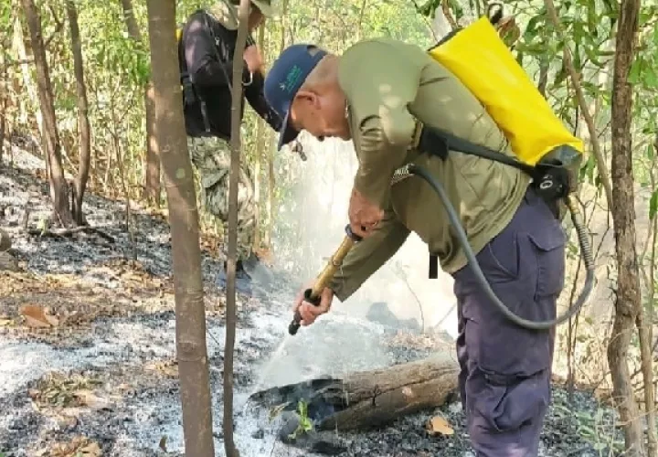 Trabajaron por varias horas para controlar el incendio. Foto. Cortesía