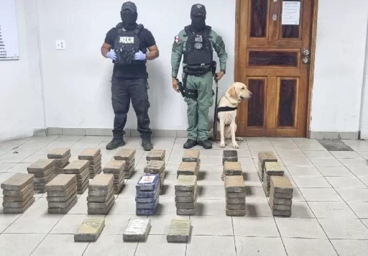 Los estupefacientes están en custodia de la Policía Nacional para que forme parte de las pruebas de investigación judicial por contaminación con drogas los contenedores. Foto. Policía Nacional