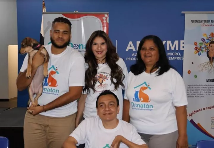 Los fundaciones solicitan mayor respaldo por parte de la sociedad. Foto: Cortesía