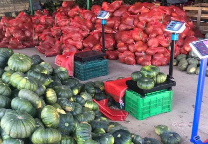 Recientemente, tres contenedores con 22 mil kilos de zapallo, cada uno, fueron exportados a Miami, EE.UU, por la empresa Panafruit. Cortesía Mida