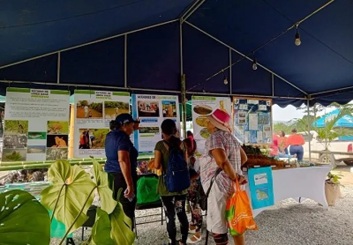 la Feria Nacional de Colón o se realiza en el corregimiento de Buena Vista, área de la Transístmica. Foto: Diomedes Sánchez 