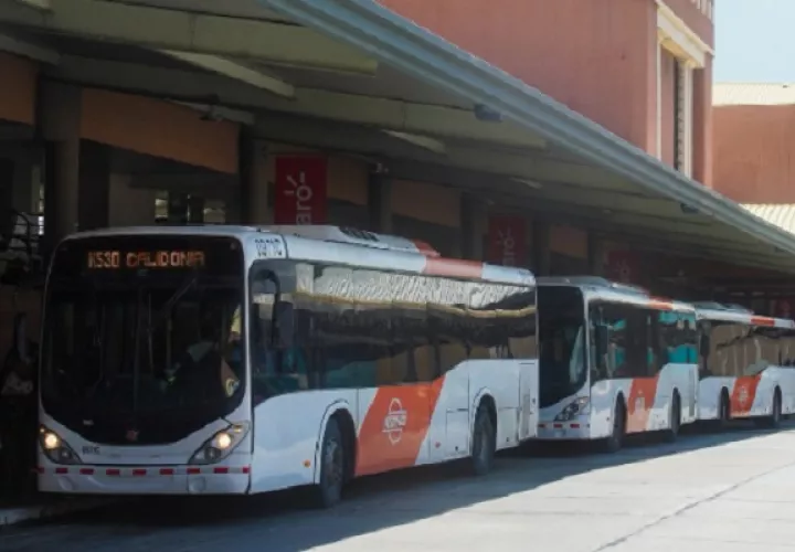 MiBus apunta a reducir la brecha salarial de género. Foto: Cortesía