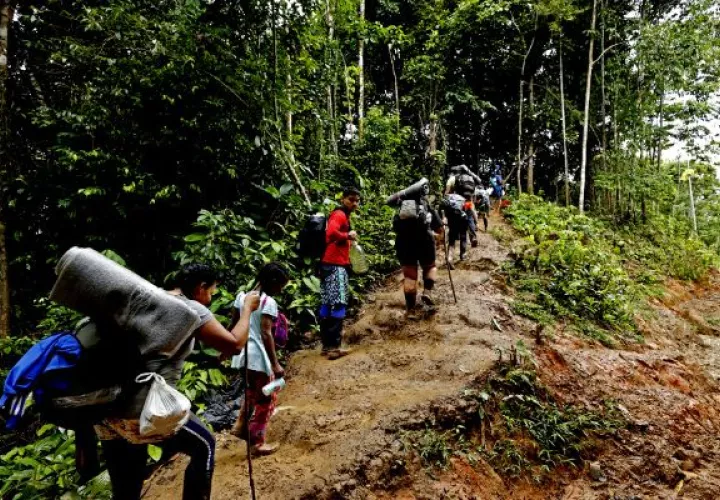 Migrantes irregulares siguen exponiendo sus vidas cruzando la selva del Darién. Foto: Archivo