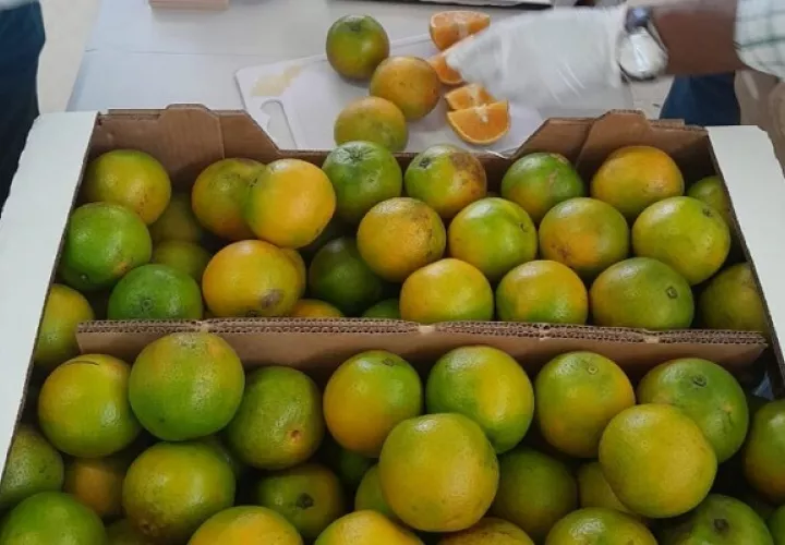 Panamá presenta gran potencial en la calidad de las frutas. Foto: Cortesía