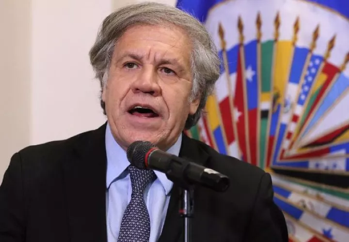 Luis Miguel Ávila, secretario general de la Organización de Estados Americanos (OEA). RPP