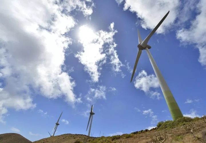La transición hacia una economía más verde puede  abrir nuevas oportunidades de negocio en sectores como las energías renovables. Foto: EFE