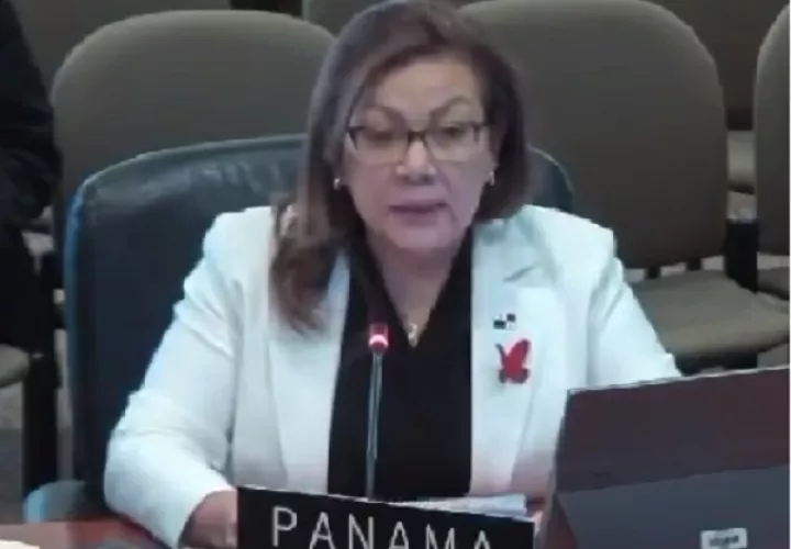 Intervención de María Roquebert en el Consejo Permanente de la OEA. Foto: Internet