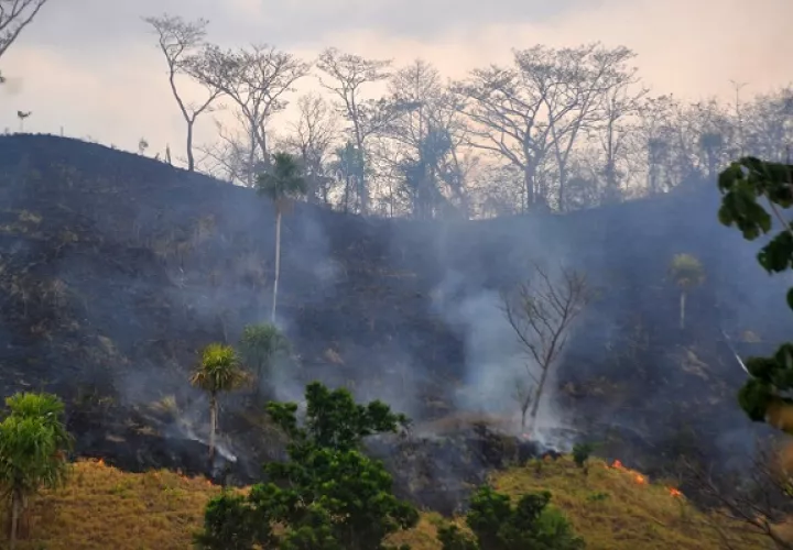 La deforestación en las zonas cercanas a Chucantí no se detiene.  Foto: Cortesía Adriano Duff/Zona Verde