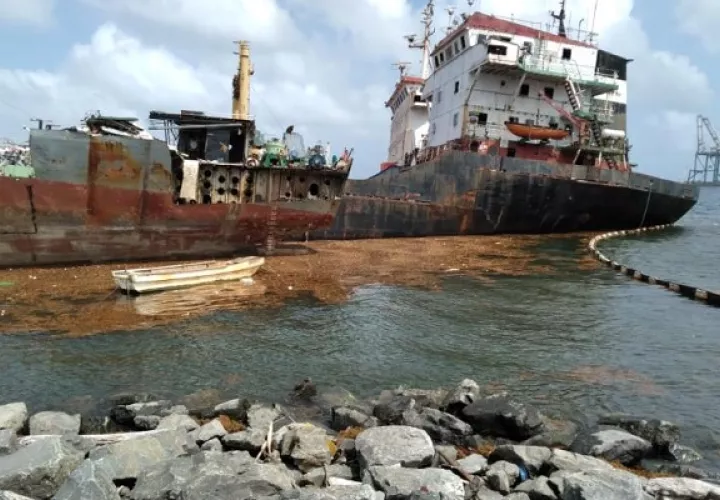 La presencia de sargazo ha aumentado en los últimos años en Panamá. Foto: Cortesía/MiAmbiente