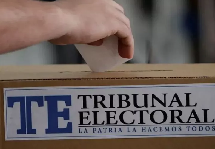 Los partidos expresaron su preocupación por el uso del voto electrónico.