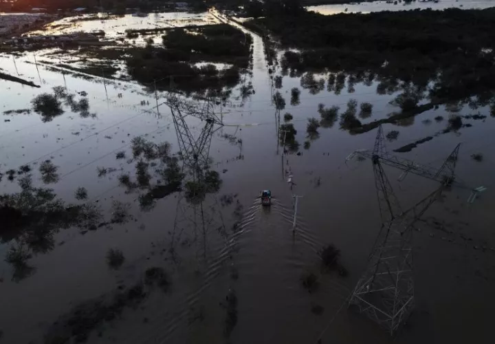 Pérdidas en la ganadería brasileña por las inundaciones superan los 41 millones de dólares. Foto: EFE