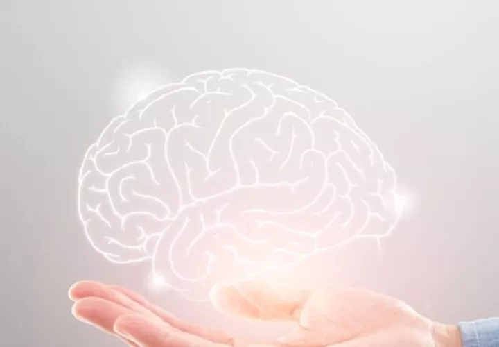 Afecta a algunas zonas del cerebro. Foto: Ilustrativa/ Pexels